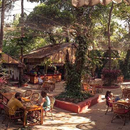 Bean Me Up Hotel Vagator Bagian luar foto